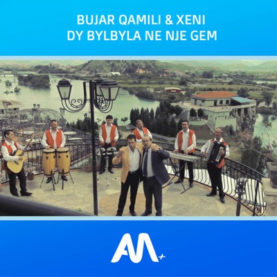 Dy bylbyla ne nje gem - Single