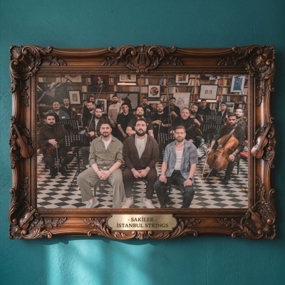 Anlayamazsın - Single