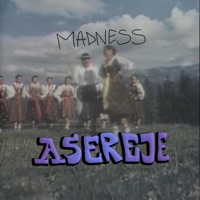 ASEREJE MADNESS - Single - DJ MFC