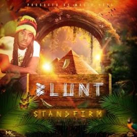 Stand Firm-Precious Life Riddim (feat. Blunt) Music Core