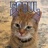 I Go Meow 2 (feat. Cala)