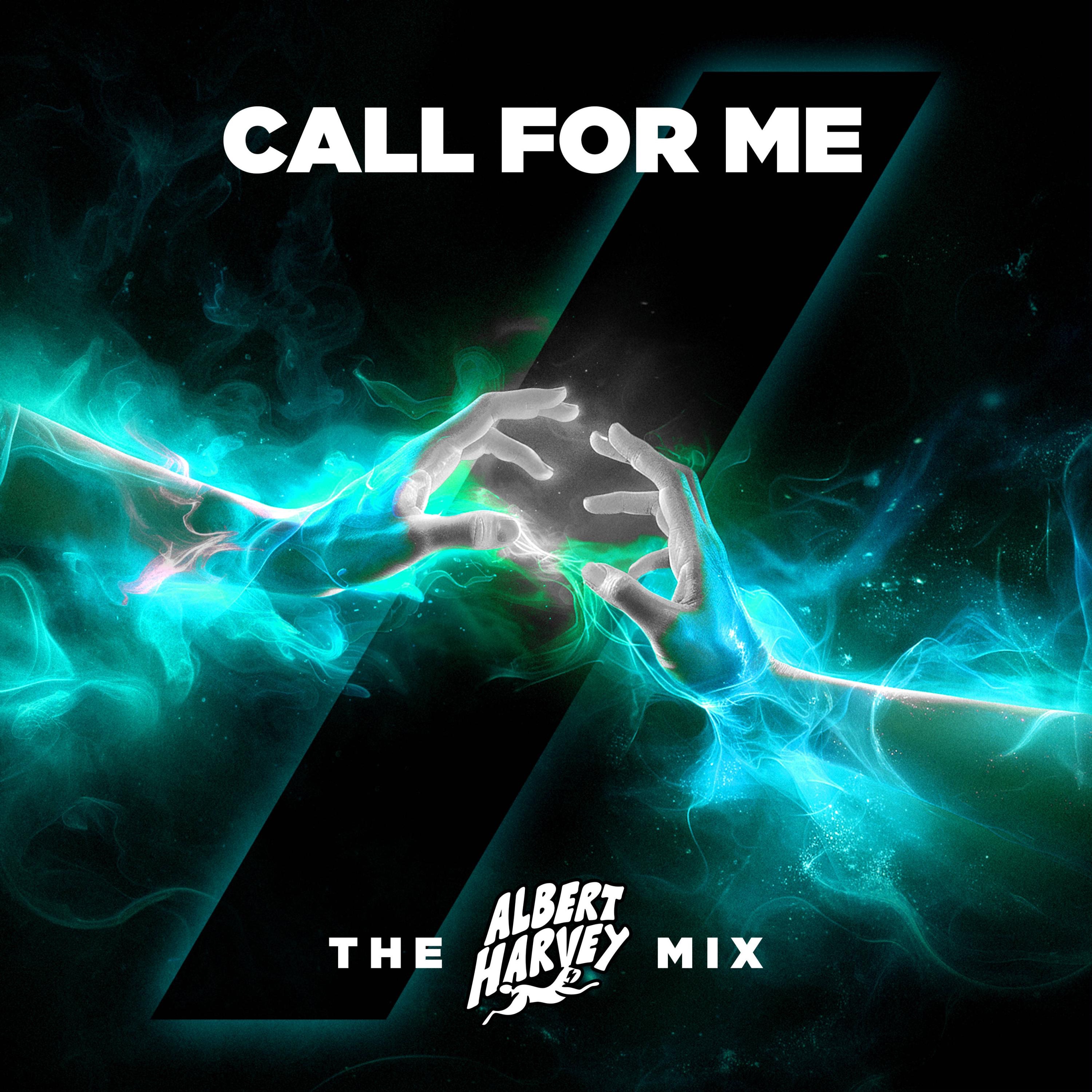 Call For Me The Albert Harvey Mix - Single