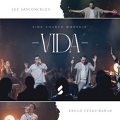 Vida artwork