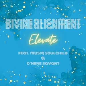Elevate (feat. Musiq Soulchild & O'hene Savant) - Single