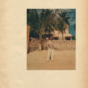 Never Meant To Hurt You (feat. Kofi Stone) - Single