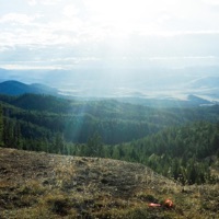 Neon Graves - Single - Sad Moses