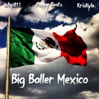 Big Baller Mexico - Single - Why01.1, Puppy Beats & kriskyle