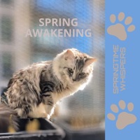 Spring Awakening (Springtime Whispers) - Single - Julefjollene