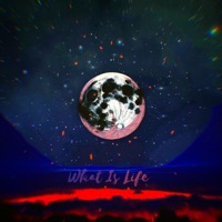 What Is Life - Single - BloodLeaf
