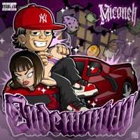 ENDEMONIAO - Single