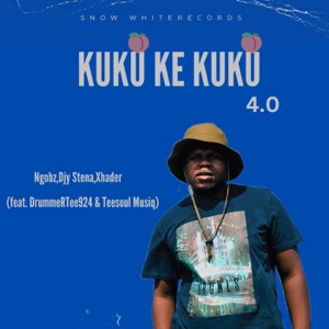 Kuku Ke Kuku 4.0 (feat. DrummeRTee924 & Teesoul musiq)