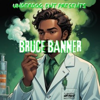 Bruce Banner - Single - Nephi Larkin