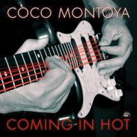 Lights Are On But Nobody's Home - Coco Montoya Cover Art