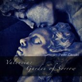 Valencia: Garden of Sorrow song art