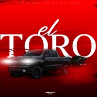 El Toro - Single - Fernando Ortiz