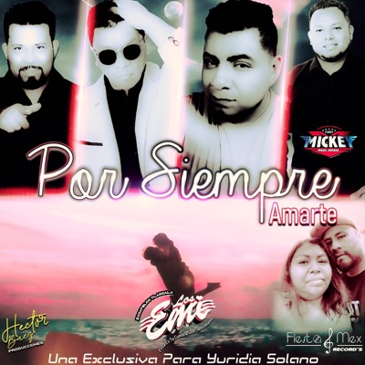 Por Siempre Amarte - Single