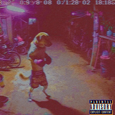 The Kings (feat. Sttiven Ths) - Single