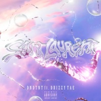 Saint Laurent (feat. Drizzy Tae) - Single - DNDTNT