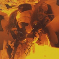 Strap - Lupo Prospero