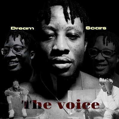 I'M THE VOICE