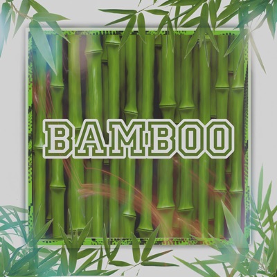 Bamboo - Single