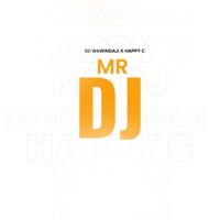 Mr Dj (feat. Happy C) - Single - Sd Wawindaji