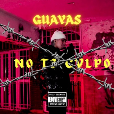 N0 T3 CVLP0 (feat. Rouse) - Single