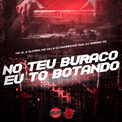No Teu Buraco Eu to Botando (feat. DJ Gordão Zs) - Single