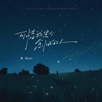 可惜我是个念旧的人 - Single - 黑豆ado