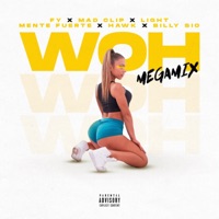 WOH (MegaMix) [feat. Mente Fuerte, Hawk & Billy Sio] - Single - FY, Mad Clip & Light