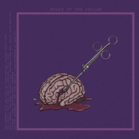 Album cover for Web by Mules of the Cellar