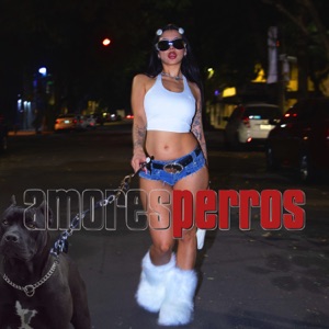 Amores Perros