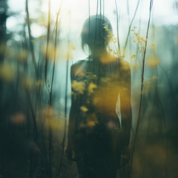 Fragments of Unheard Dreams