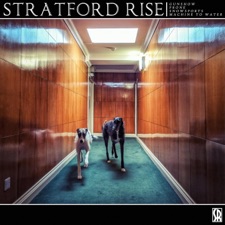 Stratford Rise - Gunshow