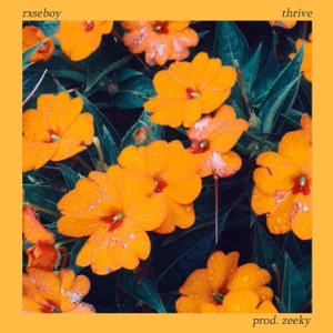 Thrive - Single