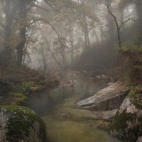 Human Nature - Single - rae