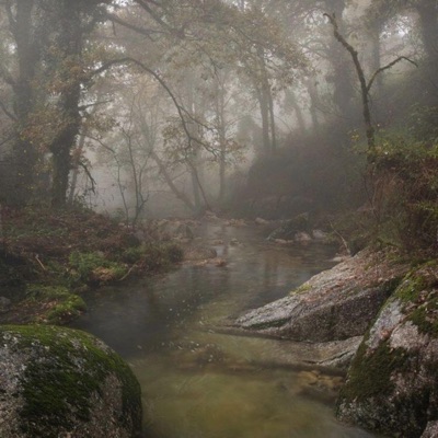 Human Nature - Single