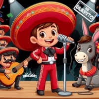 Mi Burrito (Cover) - Single - Matías Hernández