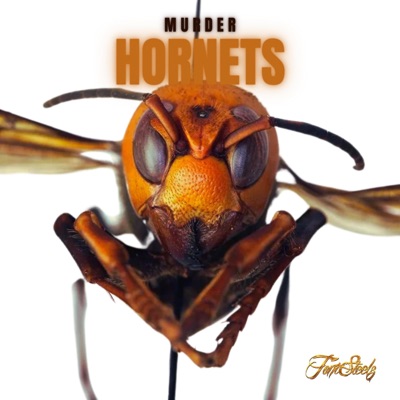 Murder Hornets (feat. Pressha Dinero & Traffick) - Single