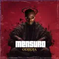 Mensuro