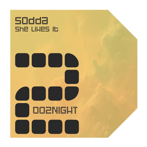 She Likes It - Single