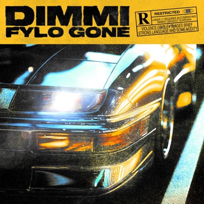 DIMMI - Single
