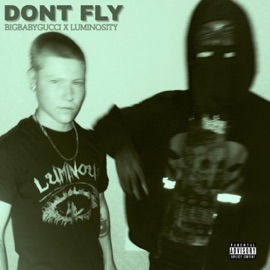 DONT FLY (feat. BIGBABYGUCCI) Luminosity