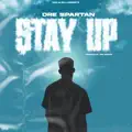 Stay Up