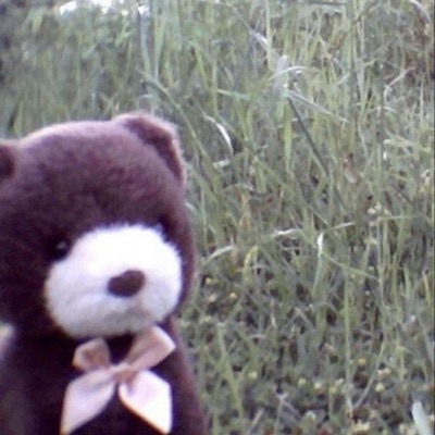 Im not okay - Single