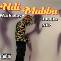 Ndi muba (feat. 1981 BC & S L P) - Single - WIZ KADAYO