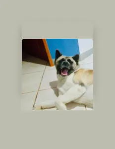 Rex Vegaを聴いたり、ミュージックビデオを鑑賞したり、経歴やツアー日程などを確認したりしましょう！