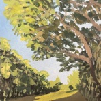 webb park - Single