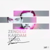 Zendegi Kardam Toro - Single