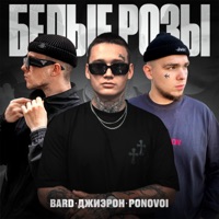 Белые розы - Single - Bard, Джиэрон & PONOVOI